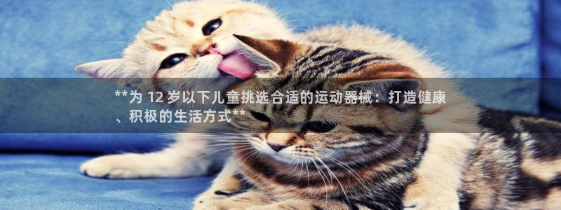 凯时尊龙app国际官方网站