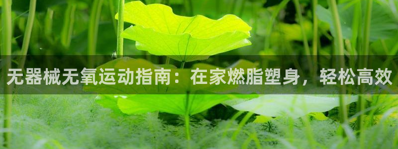 尊龙公司：无器械无氧运动指南：在家燃脂塑身，轻松高效