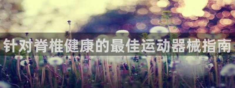 尊龙凯时为什么输了钱：针对脊椎健康的最佳运动器械指南