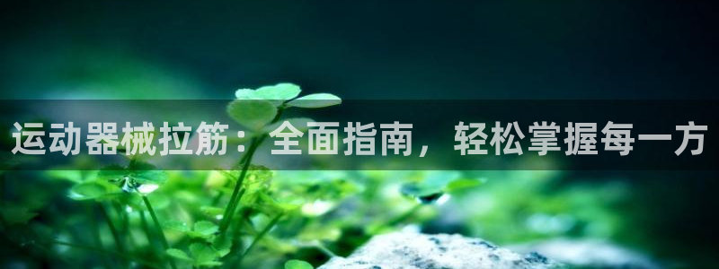 下载尊龙：运动器械拉筋：全面指南，轻松掌握每一方