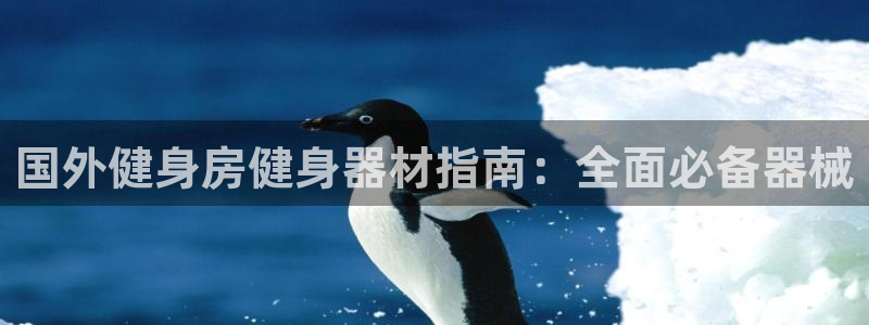 尊龙凯时投诉最狠的方法：国外健身房健身器材指南：全面