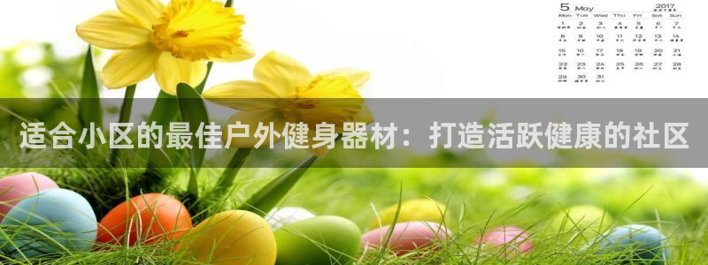 尊龙z6集团：适合小区的最佳户外健身器材：打造活跃健