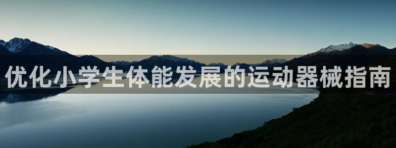 凯时效果怎么样：优化小学生体能发展的运动器械指南