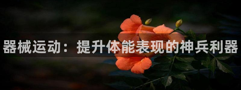 尊龙物流怎么样：器械运动：提升体能表现的神兵利器
