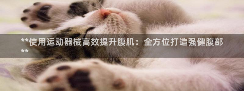 尊龙凯时和九游会哪个平台好一点：**使用运动器械高效