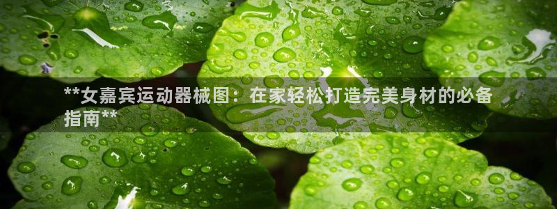 尊龙凯时ag旗舰厅官：**女嘉宾运动器械图：在家轻松