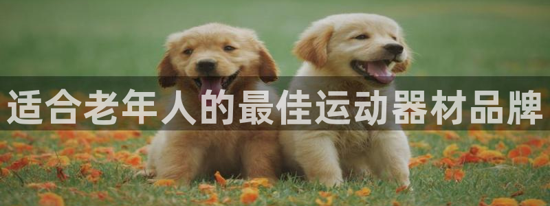 d88尊龙官网登录免费下载：适合老年人的最佳运动器材