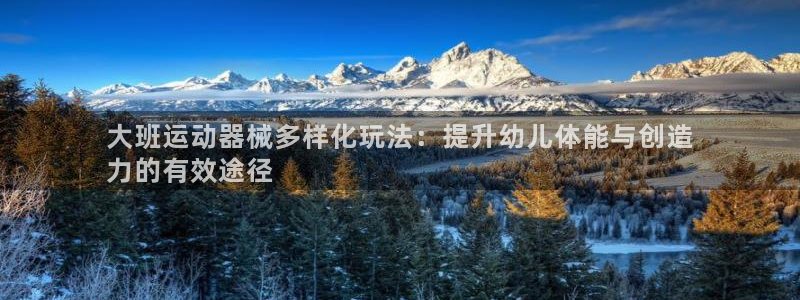 尊龙凯时品牌介绍：大班运动器械多样化玩法：提升幼儿体