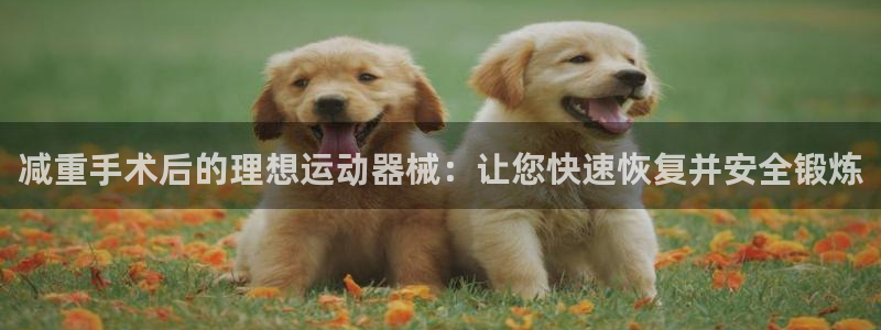 尊龙凯时官网：减重手术后的理想运动器械：让您快速恢复