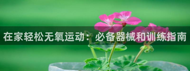 尊龙凯时官网平台：在家轻松无氧运动：必备器械和训练指