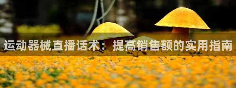 尊龙凯时凯发官网：运动器械直播话术：提高销售额的实用