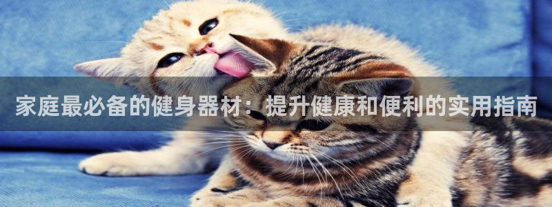 尊龙人生就是博旗舰厅：家庭最必备的健身器材：提升健康和便利的