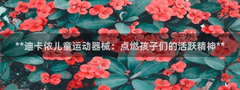 尊龙AG旗舰厅APP：**迪卡侬儿童运动器械：点燃孩