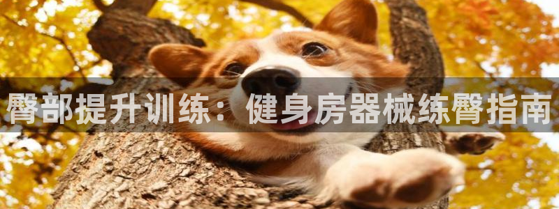 尊龙凯时人生就是博·(中国)官网首页：臀部提升训练：