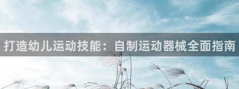 尊龙人生就是博D88：打造幼儿运动技能：自制运动器械