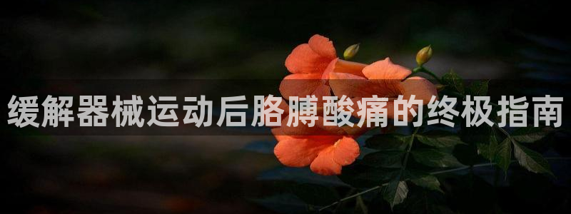 凯时官网app下载官方网站：缓解器械运动后胳膊酸痛的