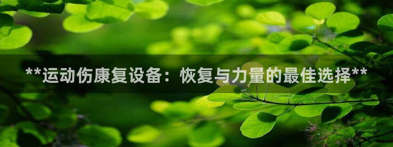 z6尊龙凯时旗舰厅：**运动伤康复设备：恢复与力量的