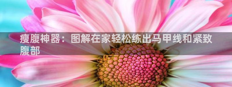 下载尊龙app：瘦腹神器：图解在家轻松练出马甲线和紧