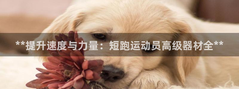 尊龙凯时城娱乐：**提升速度与力量：短跑运动员高级器