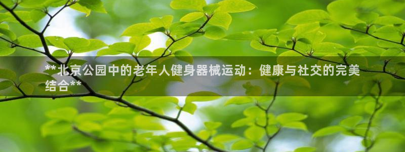 尊龙人生就是博网站：**北京公园中的老年人健身器械运