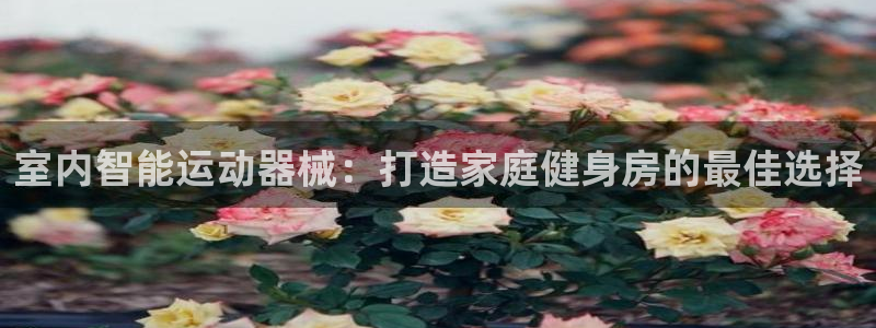 尊龙d88现金旧版本：室内智能运动器械：打造家庭健身