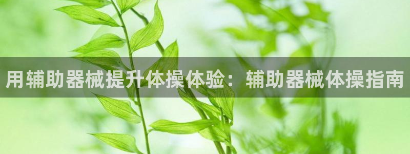尊龙凯时平台正规吗：用辅助器械提升体操体验：辅助器械