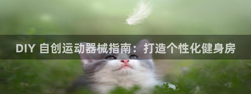 d88尊龙z6：DIY 自创运动器械指南：打造个性化