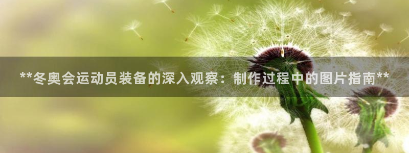 尊龙凯时为什么输了钱：**冬奥会运动员装备的深入观察