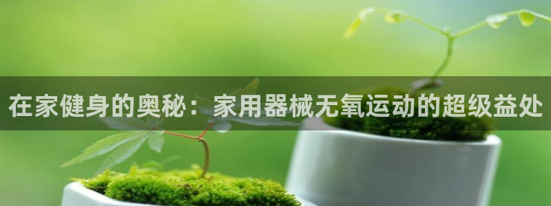 尊龙凯时有封银行卡的吗：在家健身的奥秘：家用器械无氧