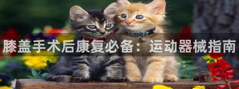 凯时国际app首页：膝盖手术后康复必备：运动器械指南
