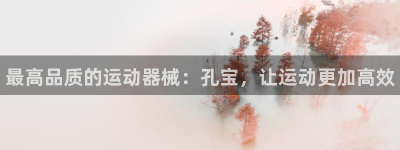 尊龙凯时百万奖池：最高品质的运动器械：孔宝，让运动更