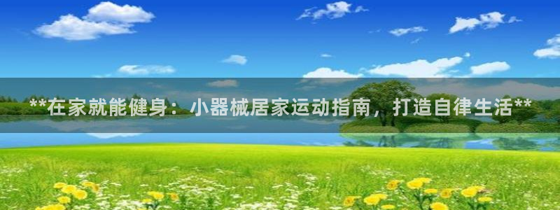 尊龙版末代皇帝：**在家就能健身：小器械居家运动指南