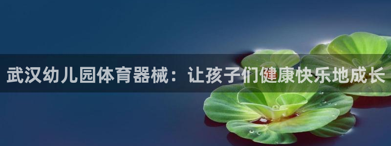 尊龙d88官网选RA来就送38：武汉幼儿园体育器械：