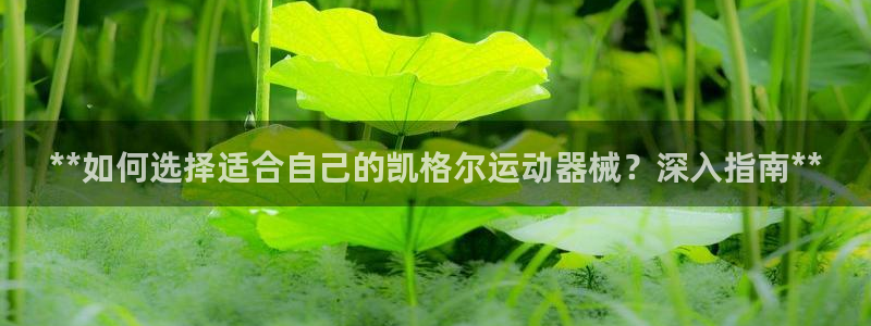 尊龙 下载：**如何选择适合自己的凯格尔运动器械？深