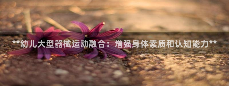 尊龙凯时网站是什么地方人开的：**幼儿大型器械运动融