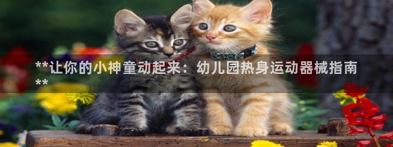 尊龙手机端下载：**让你的小神童动起来：幼儿园热身运