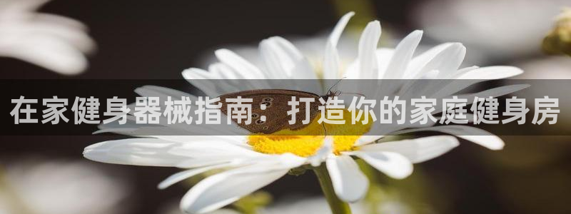 尊龙凯时白家乐Abb下载：在家健身器械指南：打造你的