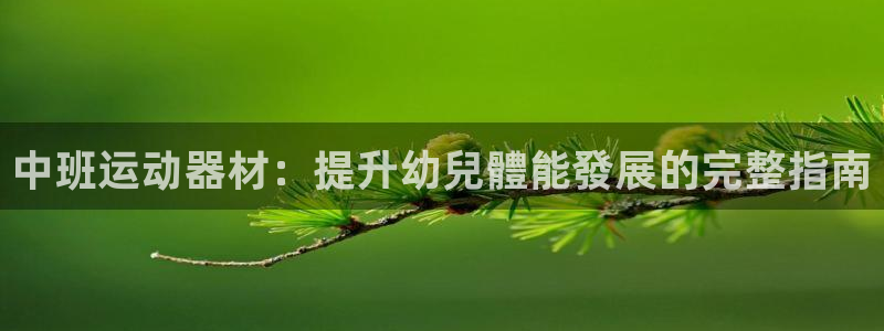 新版尊龙99：中班运动器材：提升幼兒體能發展的完整指
