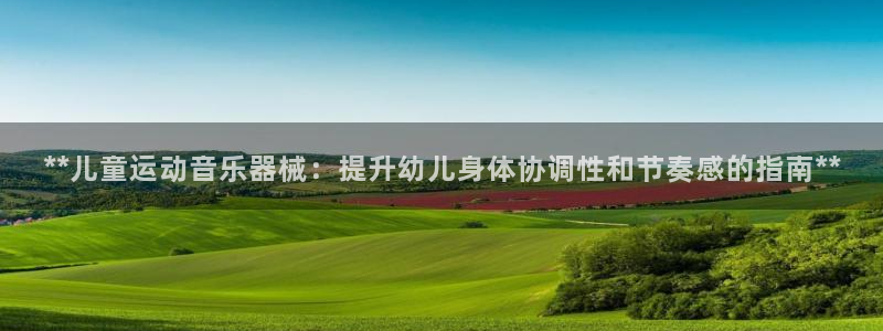 尊龙app认可ag发财网：**儿童运动音乐器械：提升