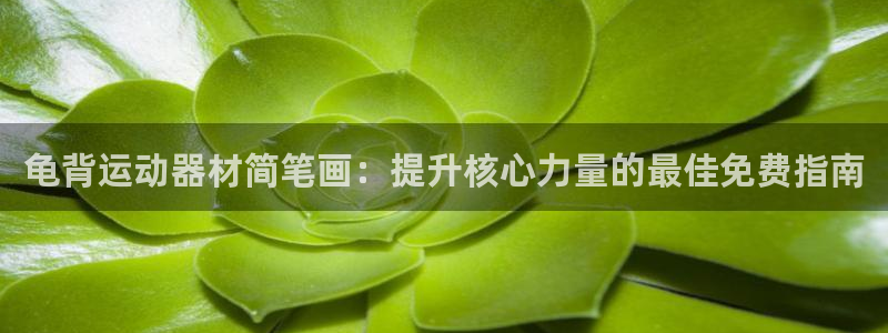 尊龙凯时ag旗舰厅：龟背运动器材简笔画：提升核心力量