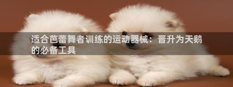 尊龙凯时总部在哪里：适合芭蕾舞者训练的运动器械：晋升