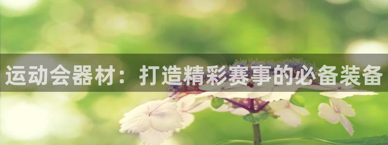 尊龙凯时logo：运动会器材：打造精彩赛事的必备装备