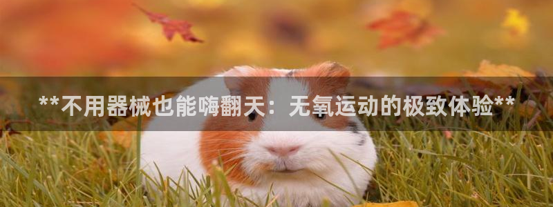 尊龙凯时平台正规吗：**不用器械也能嗨翻天：无氧运动