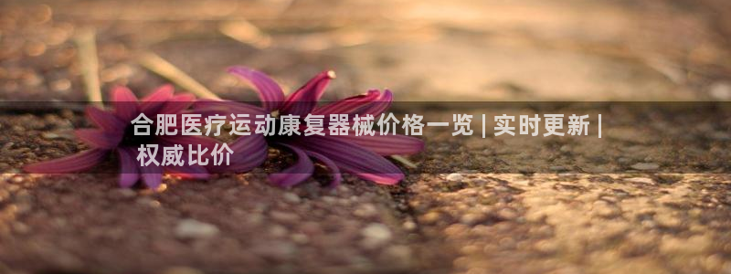 尊龙凯时平台官网：合肥医疗运动康复器械价格一览 | 