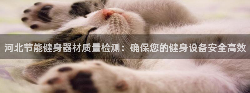 Ag尊龙平台：河北节能健身器材质量检测：确保您的健身