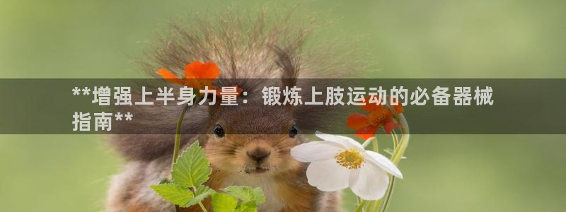 尊龙凯时人生就是博·(中国)：**增强上半身力量：锻