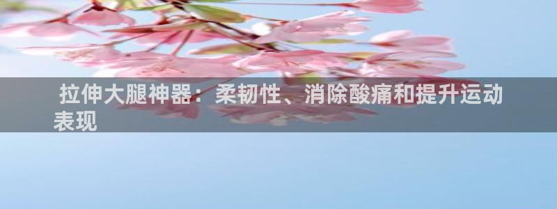 尊龙官方网站首页： 拉伸大腿神器：柔韧性、消除酸痛和
