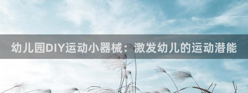 尊龙官方平台是正品吗：幼儿园DIY运动小器械：激发幼