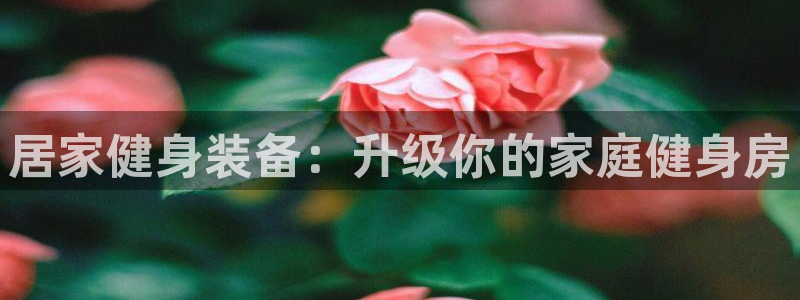尊龙凯时的企业文化：居家健身装备：升级你的家庭健身房