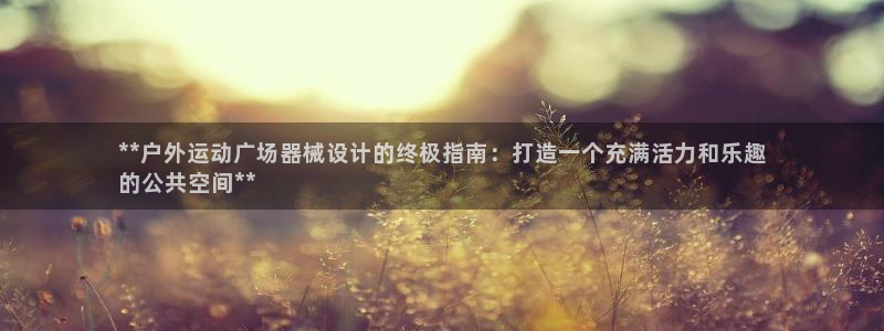 尊龙凯时充值不到账：**户外运动广场器械设计的终极指